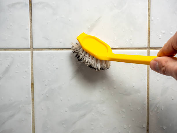 Best Office Mold Removal Services  in Mena, AR