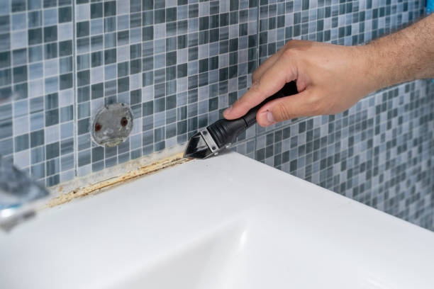 Best Residential Mold Removal  in Mena, AR